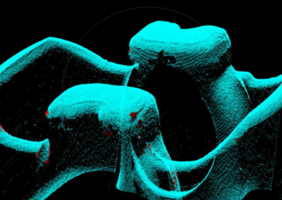 Fehlerfreie Kolben: Präzise 3D-Prüfung im Rundtaktsystem