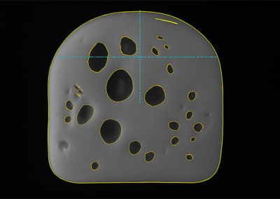 Schnittbildkontrolle von Käsescheiben